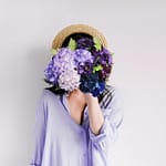 hydrangea, paper, flowers-5076212.jpg